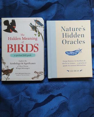 Libri oracolo divinazione natura