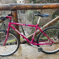 Bicicletta Giant Terrago