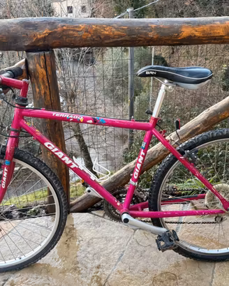 Bicicletta Giant Terrago