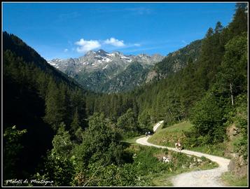 Terreno in media e alta montagna