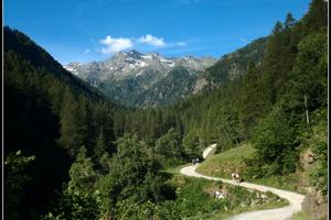 Terreno in media e alta montagna