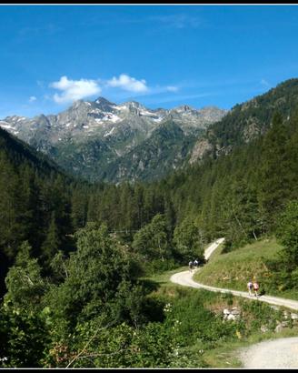 Terreno in media e alta montagna