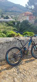 Mtb Canyon Strive CF 8.0 Race