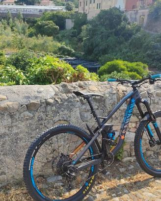 Mtb Canyon Strive CF 8.0 Race