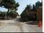 Immagine 10