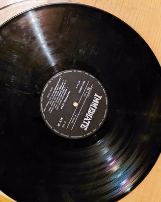 Dischi in vinile anni 70-80