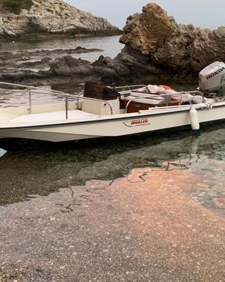 Boston Whaler 15 e fuoribordo Honda