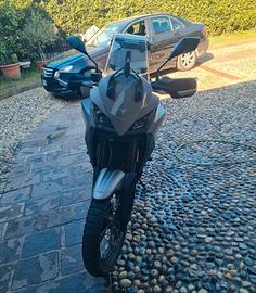 morini x-cape