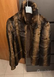 Pelliccua marrone corta