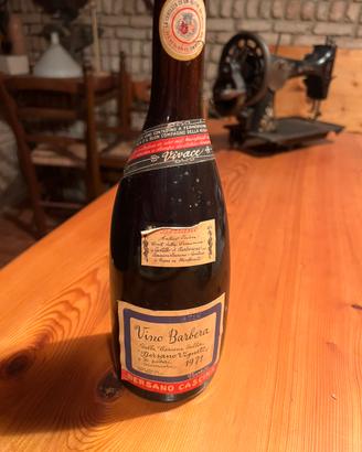 Vino Barbera 1971