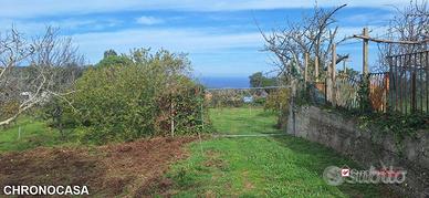 Castanea,terreno agricolo di circa 3300mq,