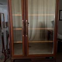 Vetrina cantinetta refrigerata per vino