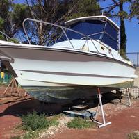 Fjord 24 barca, natante diesel bimotore