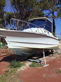 Fjord 24 barca, natante diesel bimotore