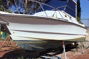 Fjord 24 barca, natante diesel bimotore