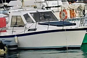 Vegliatura 27