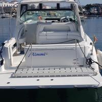 Sea ray subdancer 300