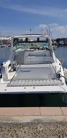 Sea ray subdancer 300