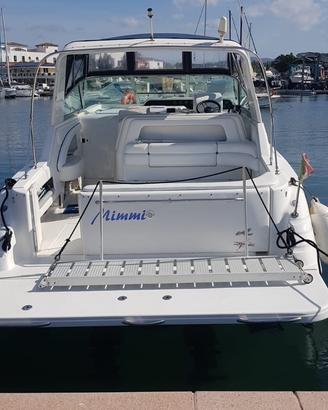 Sea ray subdancer 300