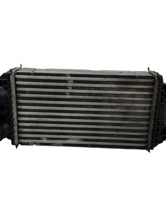 Scambiatore aria/aria PEUGEOT 208 (P21E) 2019-2023