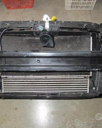 Rivestimento calandra completa di radiatori lancia