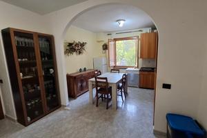 Appartamento piano terra rialzato con taverna