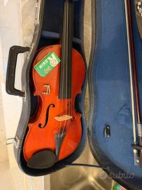 Violino