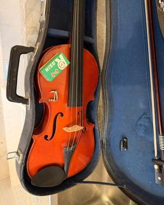 Violino