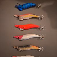 6 egi totanare DTD calamari e seppie 