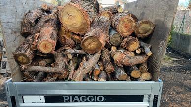 legna