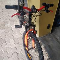 Bici mountain bike