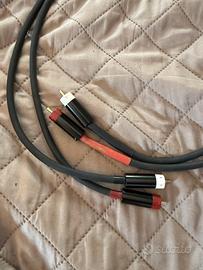 Cavi rca Sg3 1 metro lungo