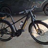 Bici elettrica donna 