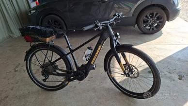 Bici elettrica donna 