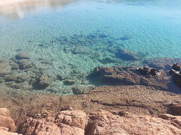 Trinità d'agultu bilo a prezzi ok. Guarda:
