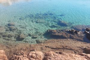 Trinità d'agultu bilo a prezzi ok. Guarda: