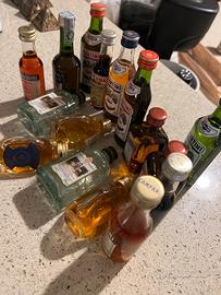 COLLEZIONE 16 MIGNON LIQUORI