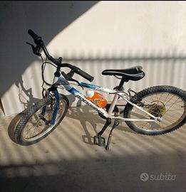 bicicletta 