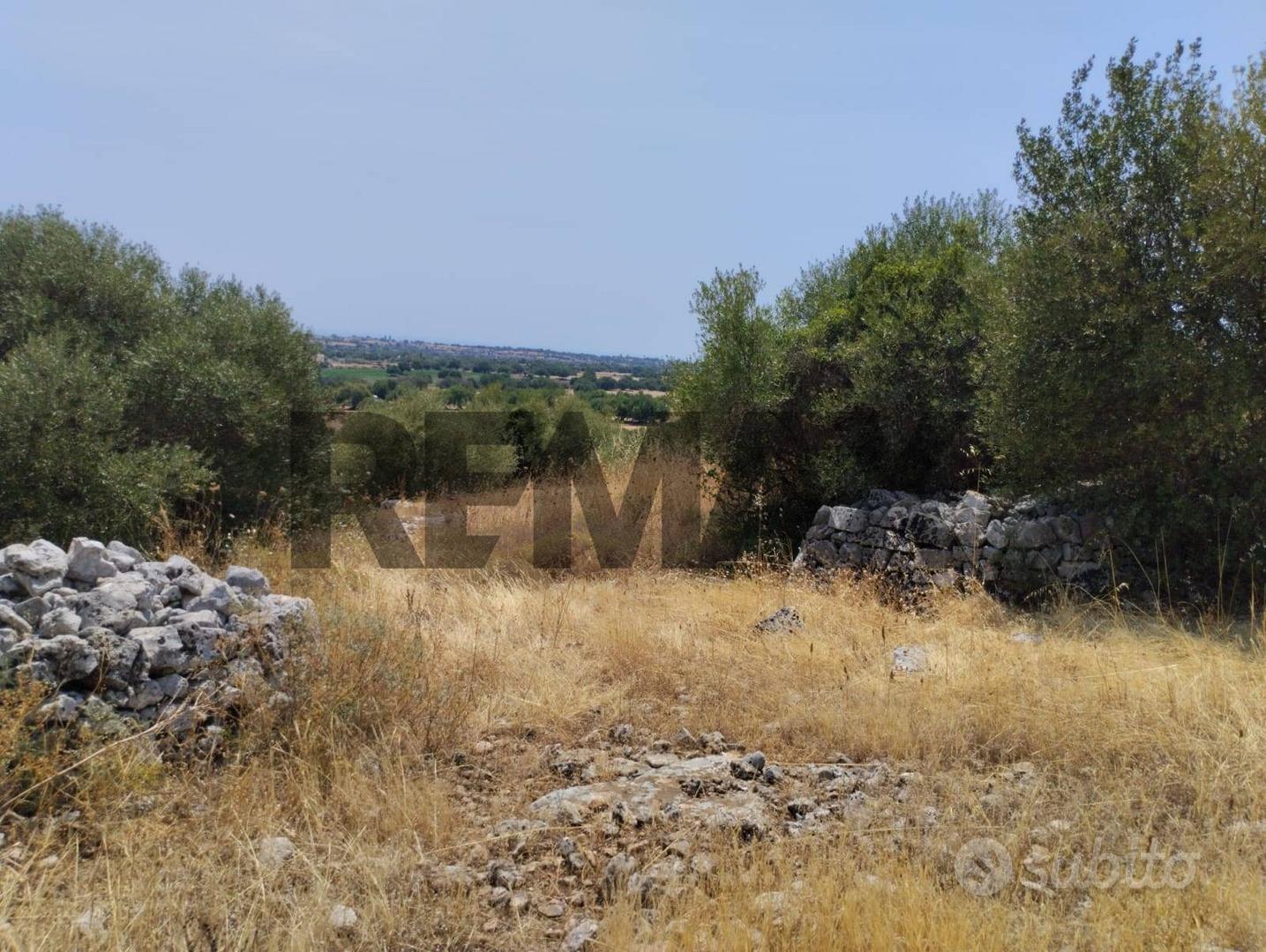 Terreno Edificabile - Rosolini - Vista 3