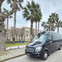 Mercedes-Benz Sprinter 519 Tomassini EURO 6