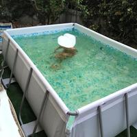 Piscina Bestway fuori terra
