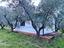 Immagine 22