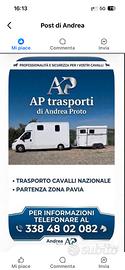 Trasporto animali/ cavalli