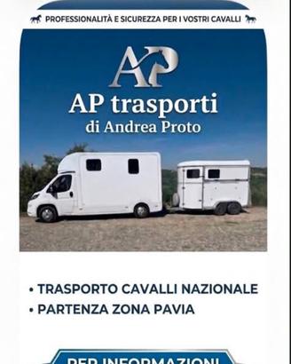 Trasporto animali/ cavalli