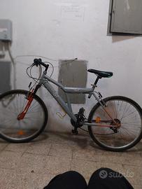 bicicletta AUDI