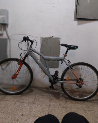 bicicletta AUDI