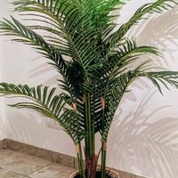 Pianta artificiale Maison du Monde