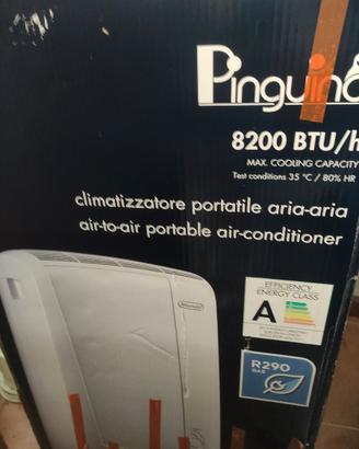 Condizionatore Pinguino