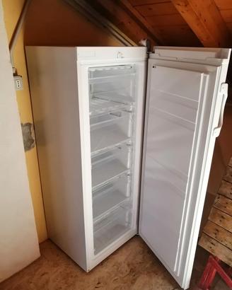 freezer verticale 