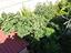 Immagine 28